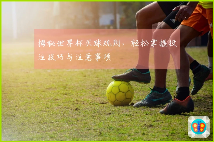 揭秘世界杯买球规则，轻松掌握投注技巧与注意事项