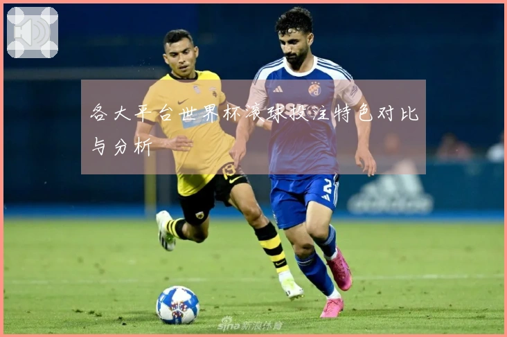 各大平台世界杯滚球投注特色对比与分析