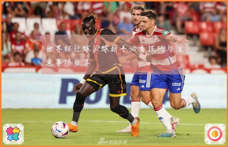 世界杯让球买球新手必看技巧与注意事项分享