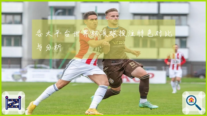 各大平台世界杯滚球投注特色对比与分析