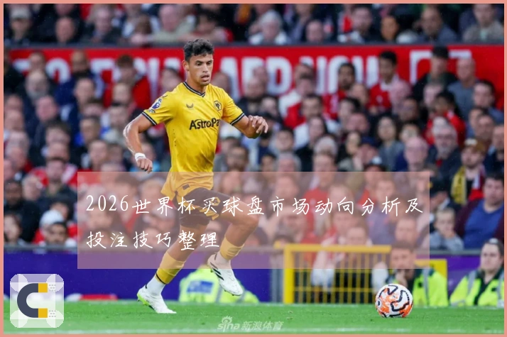 2026世界杯买球盘市场动向分析及投注技巧整理