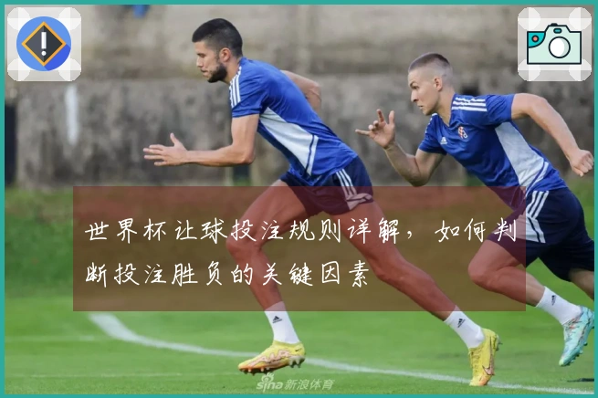 世界杯让球投注规则详解，如何判断投注胜负的关键因素