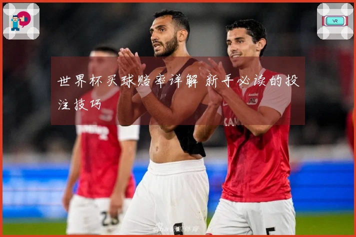 世界杯买球赔率详解 新手必读的投注技巧