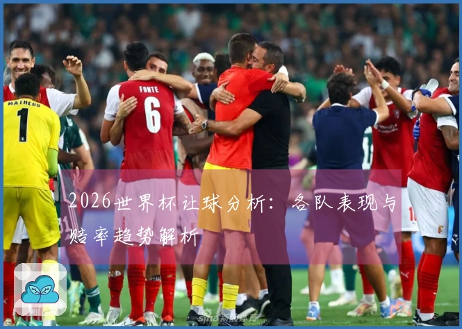 2026世界杯让球分析：各队表现与赔率趋势解析