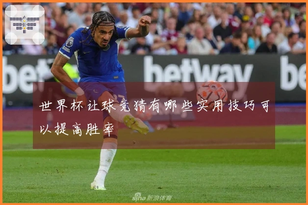 世界杯让球竞猜有哪些实用技巧可以提高胜率